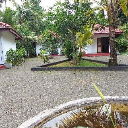 Blue Whale Lagoon Resort Ahangama Buitenkant foto