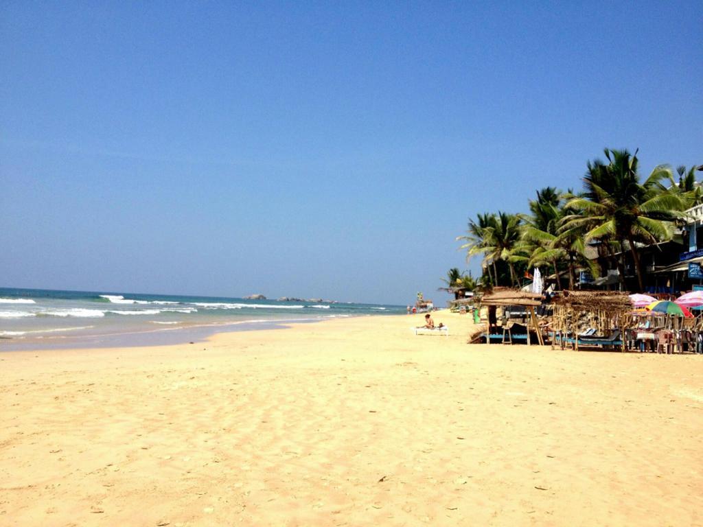 Blue Whale Lagoon Resort Ahangama Buitenkant foto