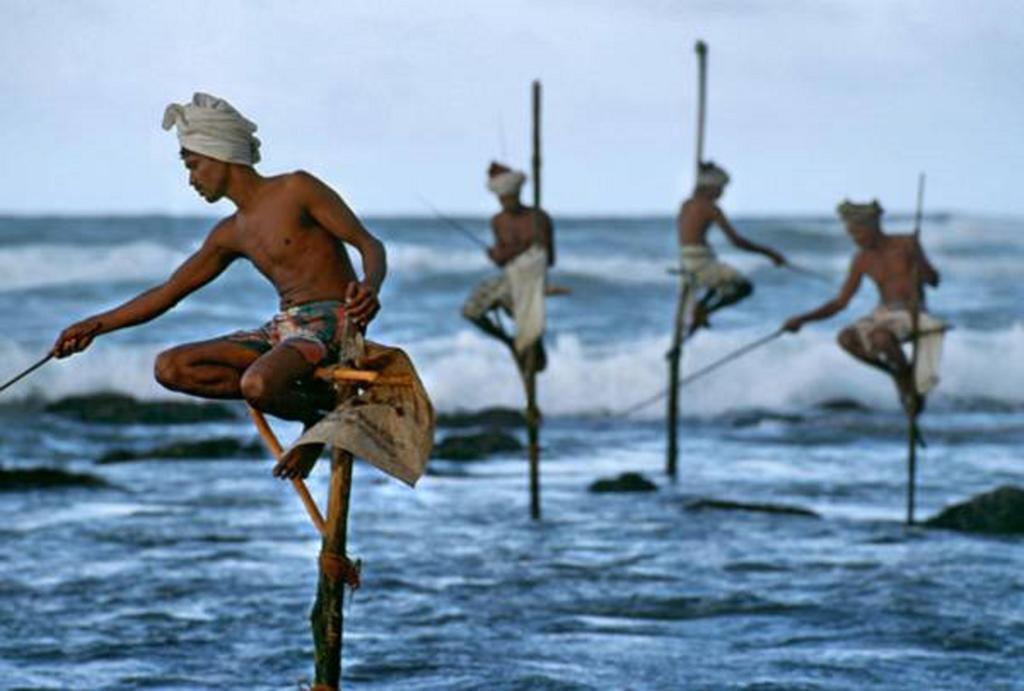 Blue Whale Lagoon Resort Ahangama Buitenkant foto