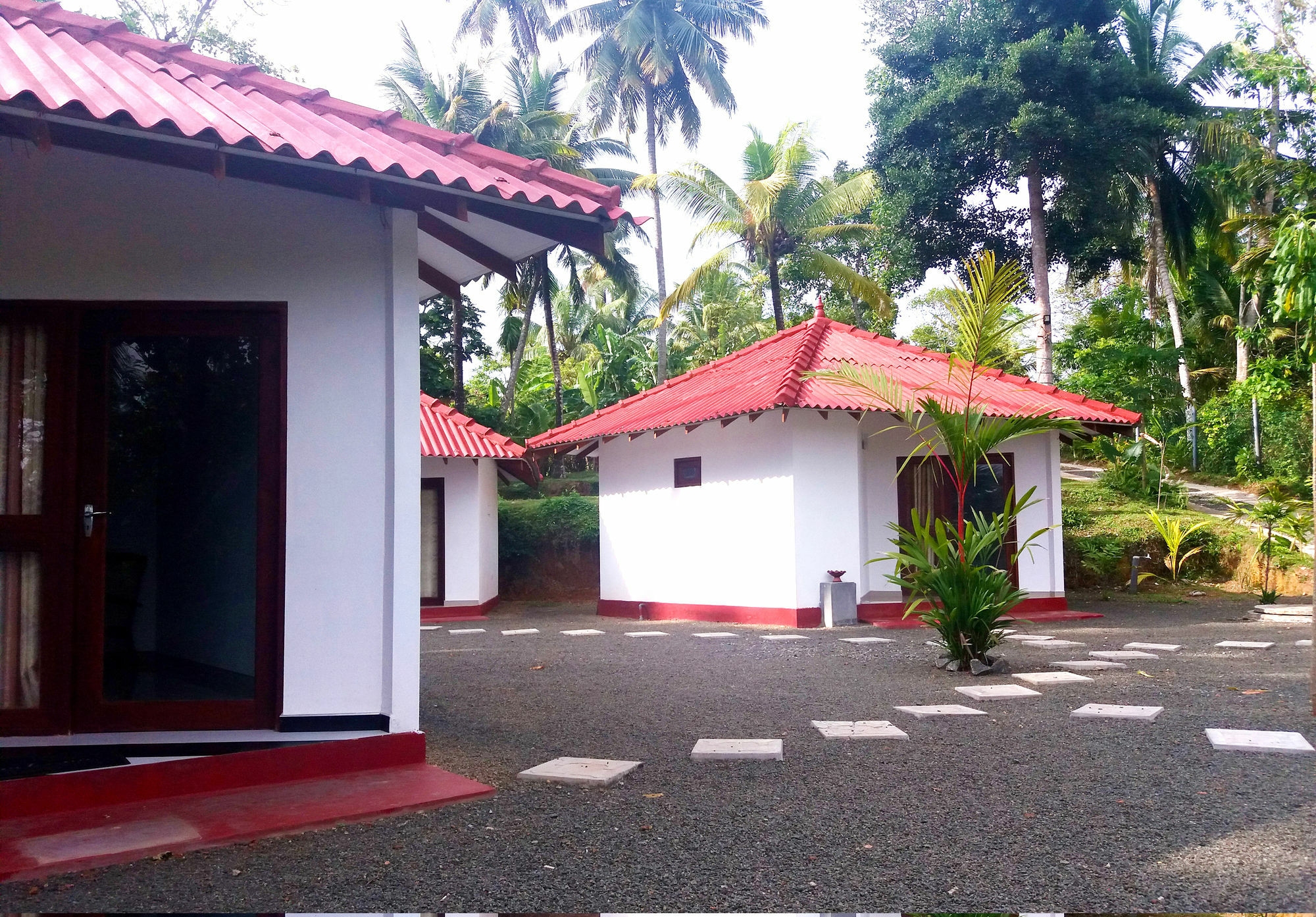 Blue Whale Lagoon Resort Ahangama Buitenkant foto