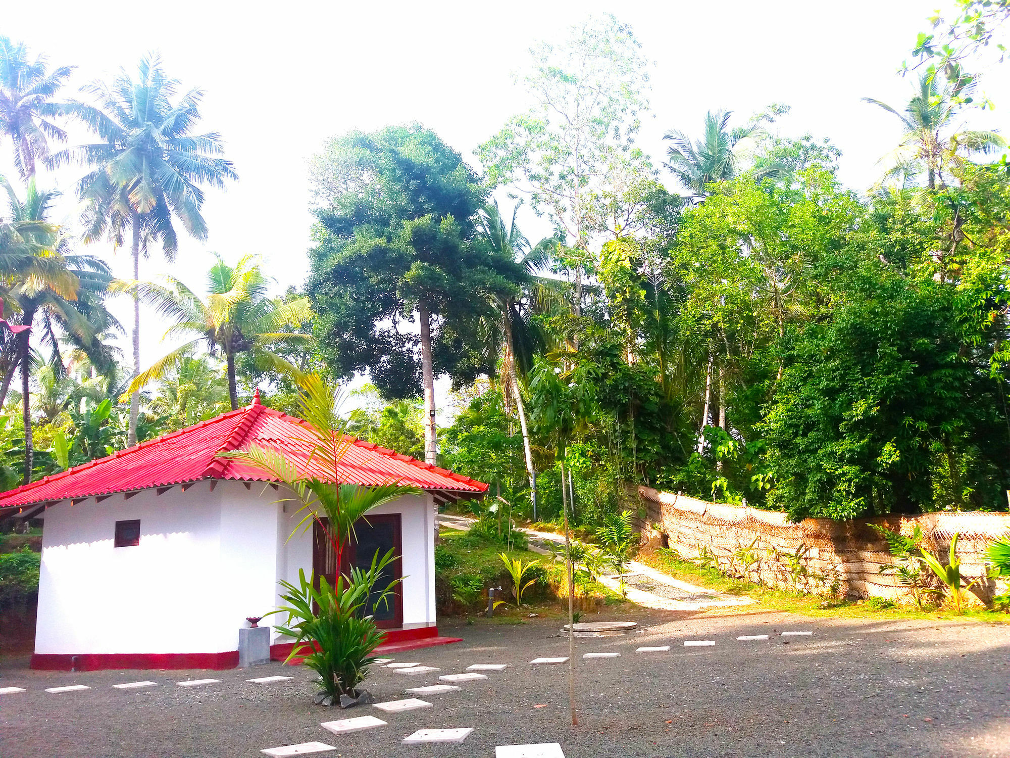 Blue Whale Lagoon Resort Ahangama Buitenkant foto