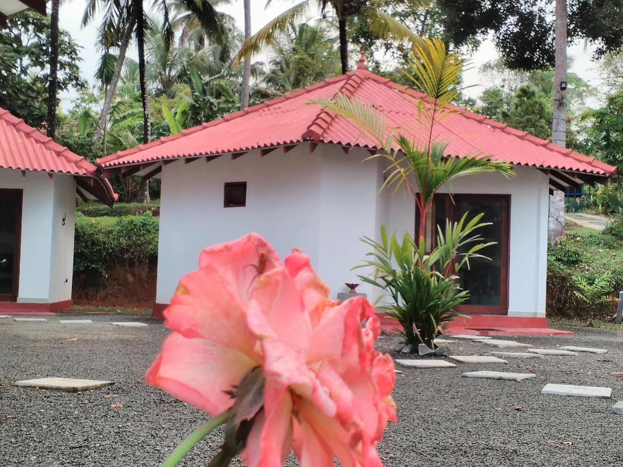 Blue Whale Lagoon Resort Ahangama Buitenkant foto