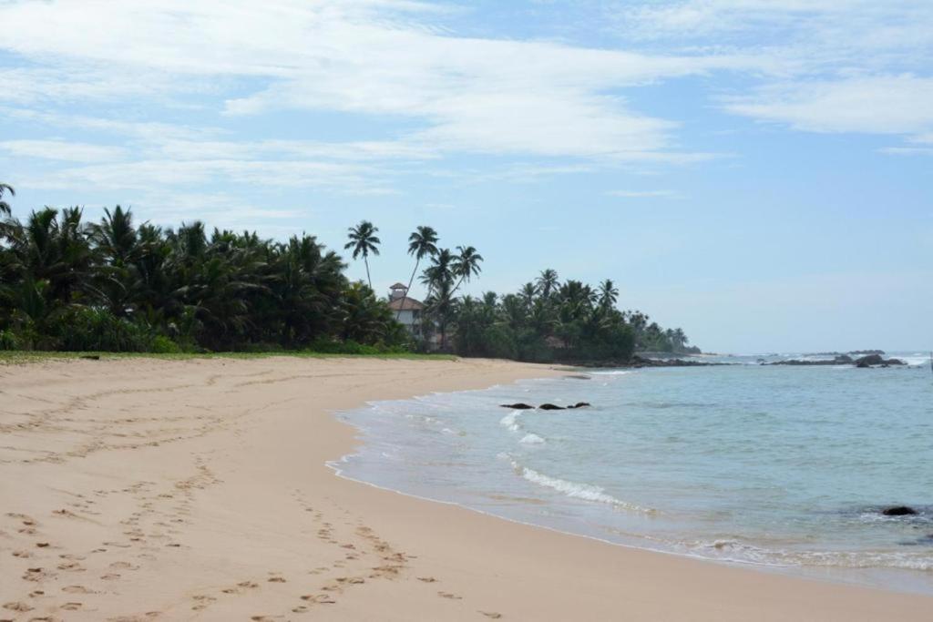 Blue Whale Lagoon Resort Ahangama Buitenkant foto