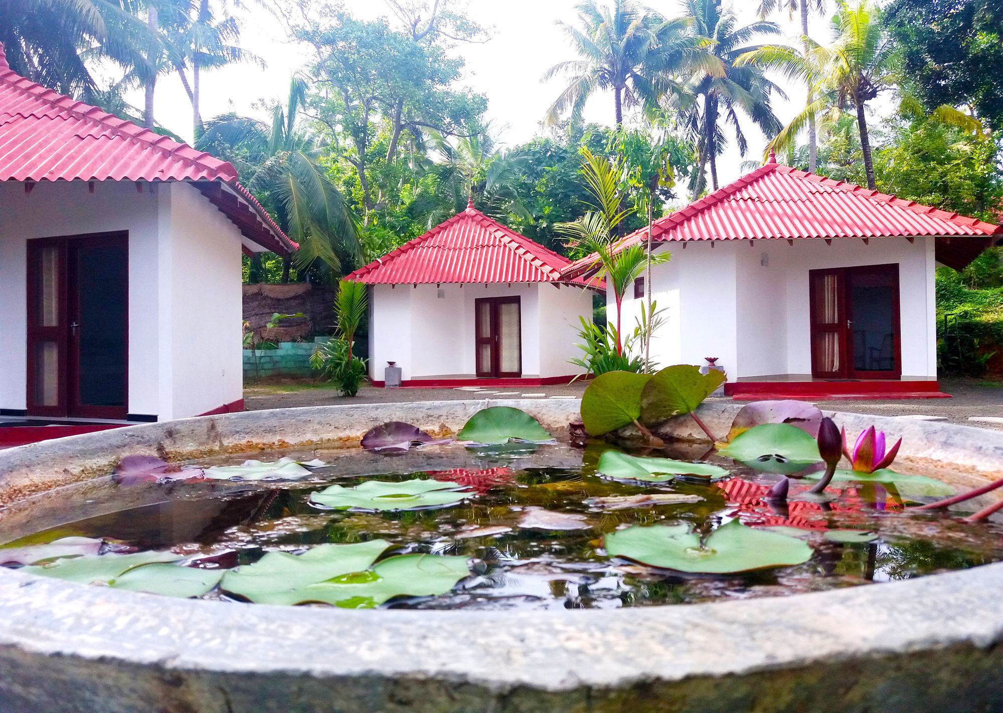 Blue Whale Lagoon Resort Ahangama Buitenkant foto