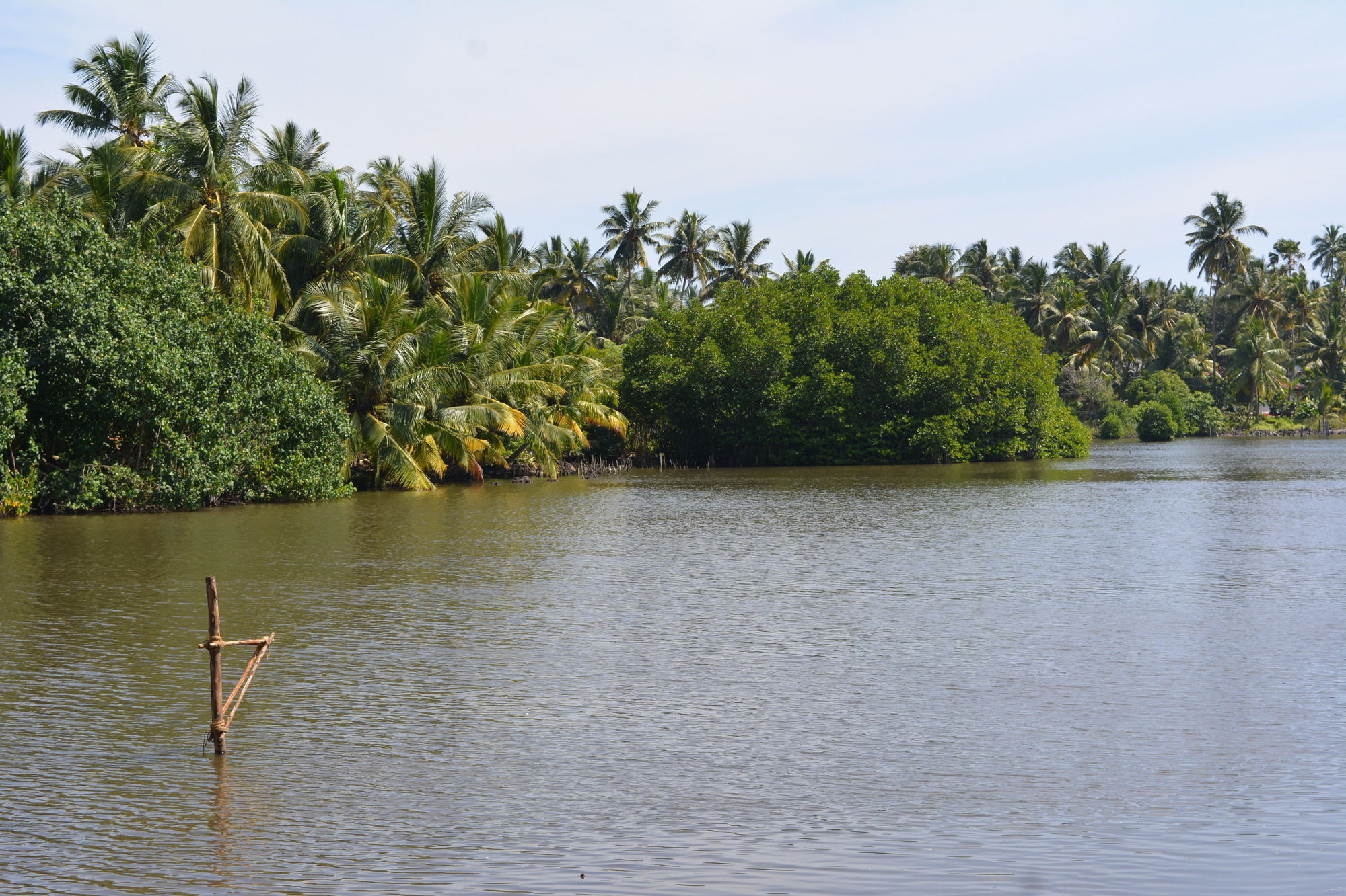 Blue Whale Lagoon Resort Ahangama Buitenkant foto